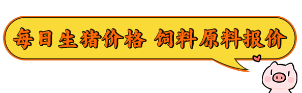 美国猪养殖技术_养殖猪美国技术怎么样_美国的养猪技术视频