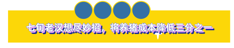 东北养黑猪哪个品种最好_东北黑猪养殖致富_东北黑猪养殖基地散养