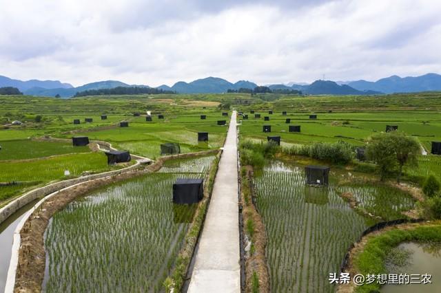 致富经农业种植_致富种植农民思维导图图片_农民种植致富思维