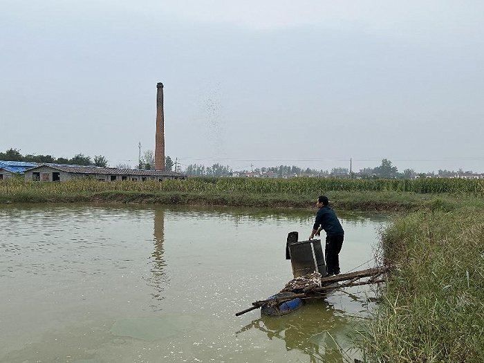 养殖草鱼赚钱吗_致富经养草鱼致富视频_致富经养草鱼