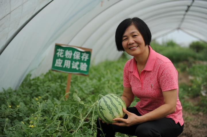 西瓜论坛种植管理技术研究_西瓜种植网站_西瓜种植管理技术论坛