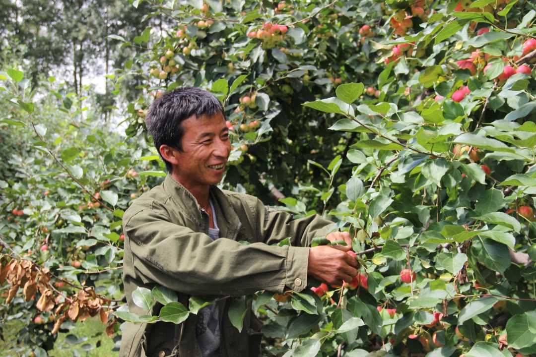 内蒙古科右前旗：绿色产业编织锦绣生活