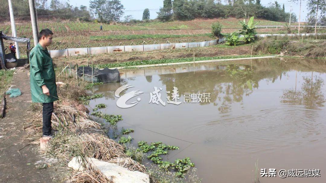 河虾养殖技术大全_河虾养殖效益怎么样_河虾养殖技术 河虾如何养