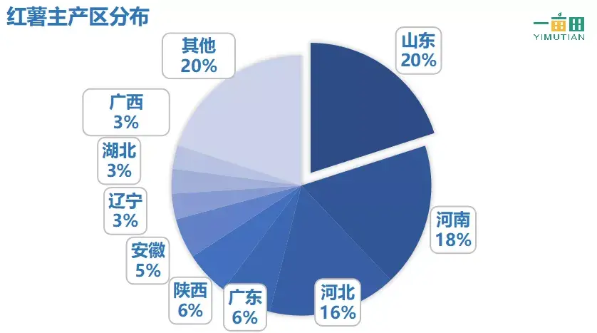 种植小番薯致富_种番薯收益_种番薯赚钱吗