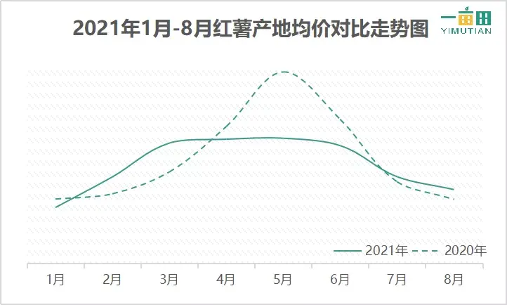 种植小番薯致富_种番薯收益_种番薯赚钱吗