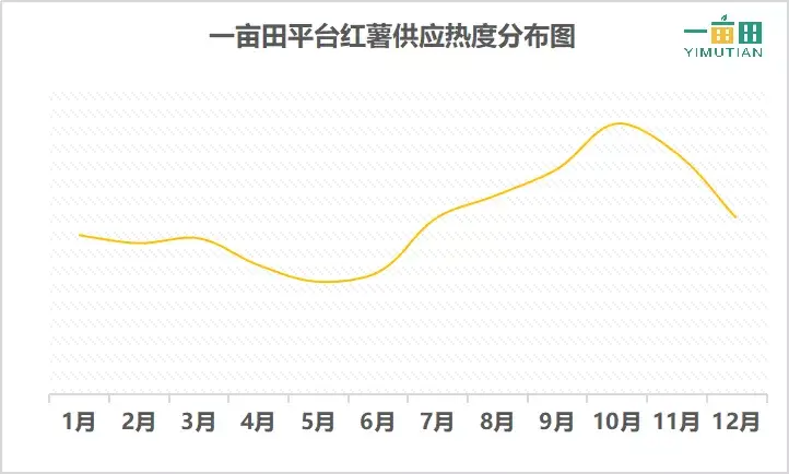 种植小番薯致富_种番薯收益_种番薯赚钱吗