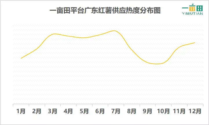 种番薯收益_种番薯赚钱吗_种植小番薯致富