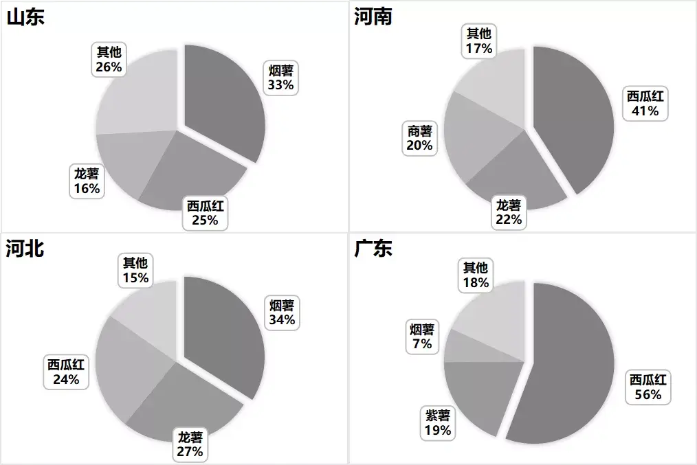 种植小番薯致富_种番薯收益_种番薯赚钱吗