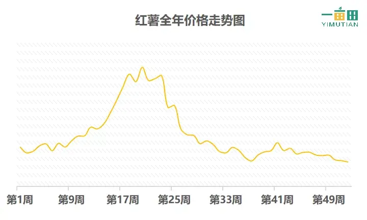 种番薯赚钱吗_种植小番薯致富_种番薯收益