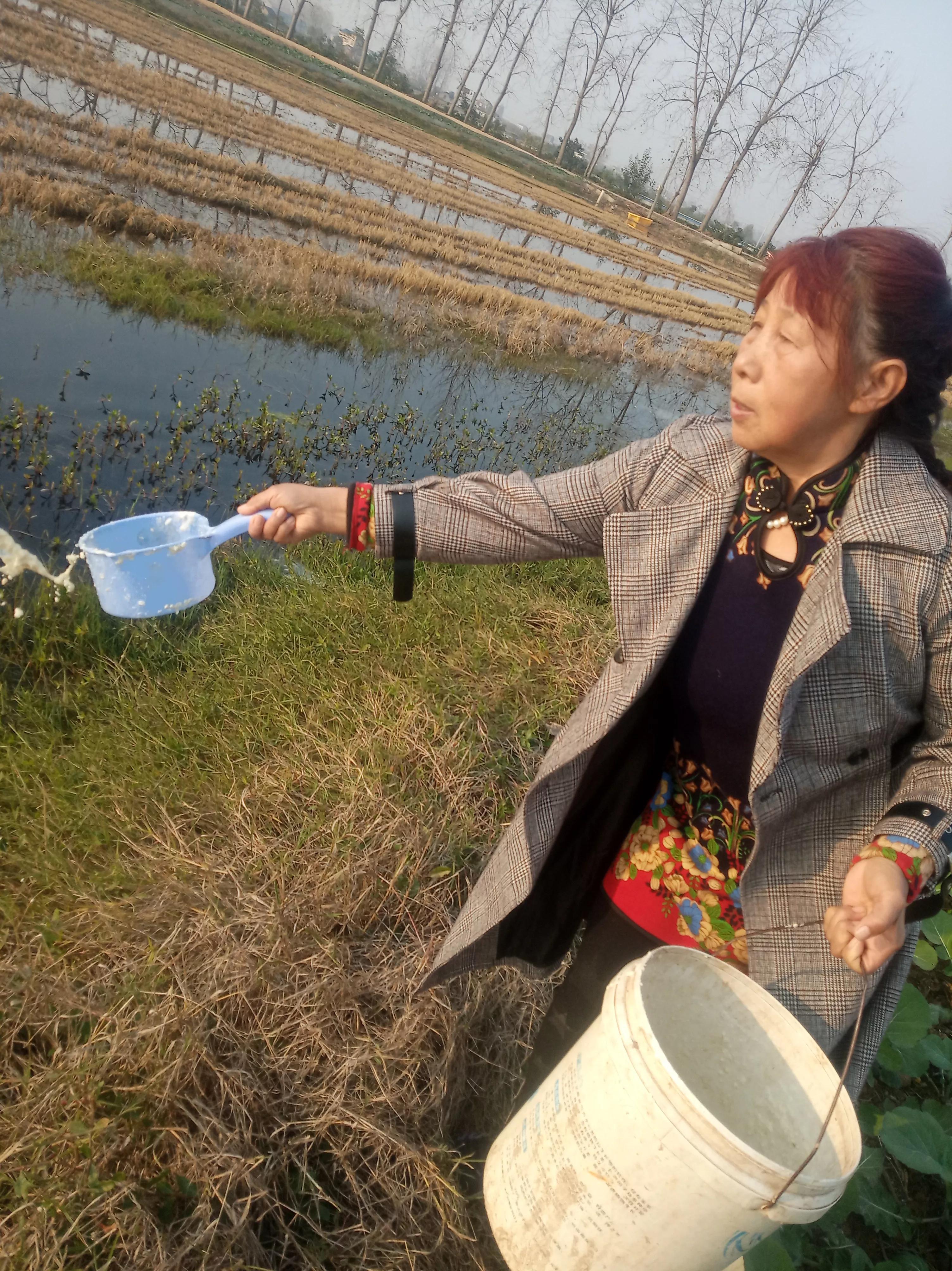 河虾养殖技术(河虾如何养)_河虾养殖视频致富经河虾养殖_河虾养殖技术 河虾如何养