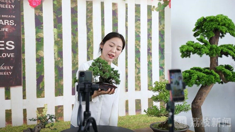 新致富项目种植_农业节目致富经种植视频_益阳种植致富新闻