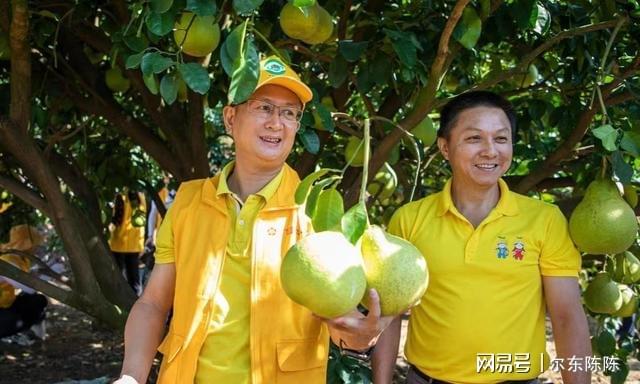 致富柚子种植方法_柚子种植致富_致富柚子种植技术视频