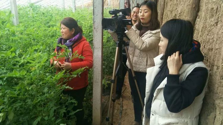 致富种植什么比较赚大钱_致富什么种植_致富种植创业项目