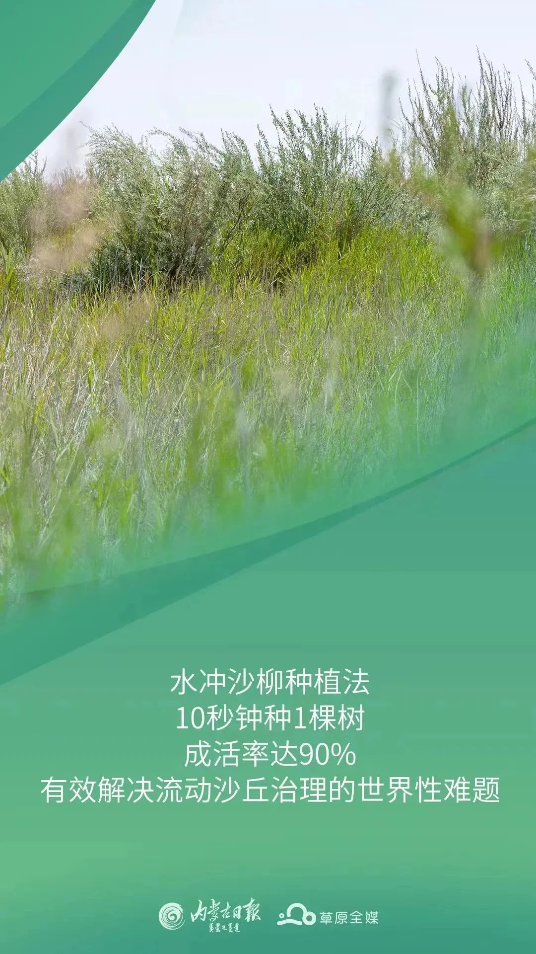 致富种植视频全集_致富什么种植_致富种植创业项目