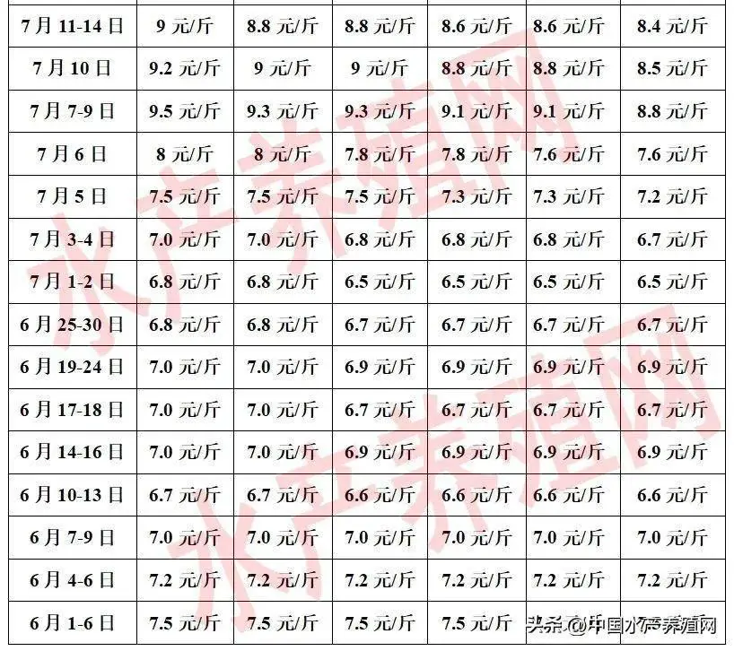 有养殖牛蛙的么_致富经牛蛙养殖技术视频_养殖牛蛙带领百姓致富