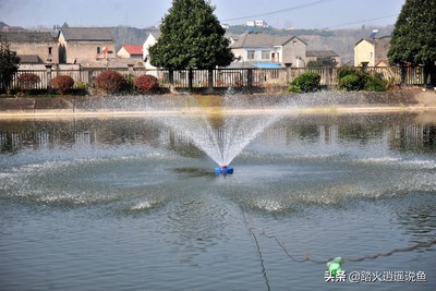 养殖泥鳅黄鳝技术视频_泥鳅黄鳝养殖技术_养殖泥鳅黄鳝技术要点