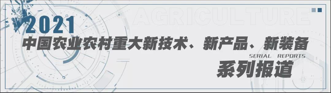 2021中国农业农村重大新产品 | 鲜食玉米新品种