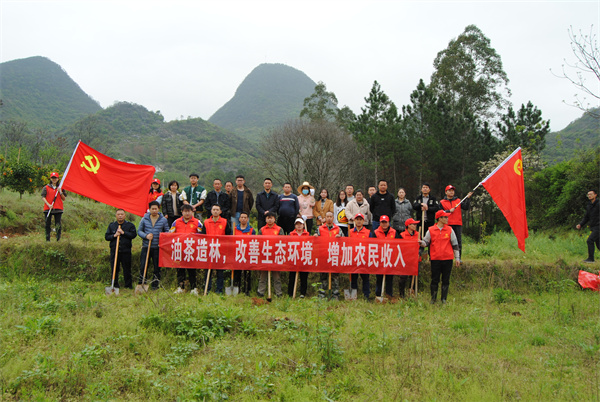 灵川县潮田乡：志愿齐种油茶树  带领乡亲同致富