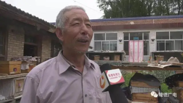 芦花鸡养殖致富视频_致富经下农村养殖芦花鸡_回农村养殖芦花鸡需要多少成本