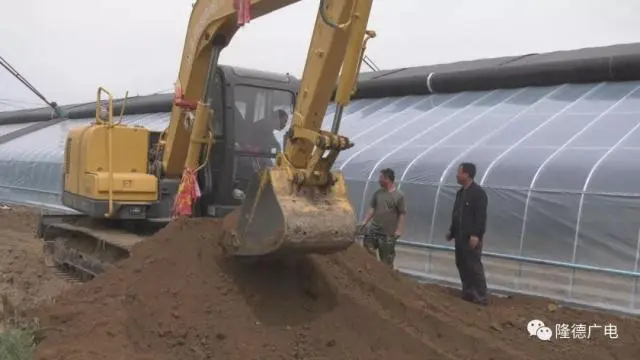 回农村养殖芦花鸡需要多少成本_芦花鸡养殖致富视频_致富经下农村养殖芦花鸡