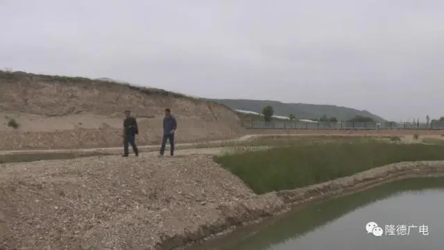 芦花鸡养殖致富视频_致富经下农村养殖芦花鸡_回农村养殖芦花鸡需要多少成本