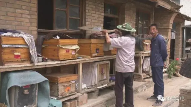 芦花鸡养殖致富视频_致富经下农村养殖芦花鸡_回农村养殖芦花鸡需要多少成本