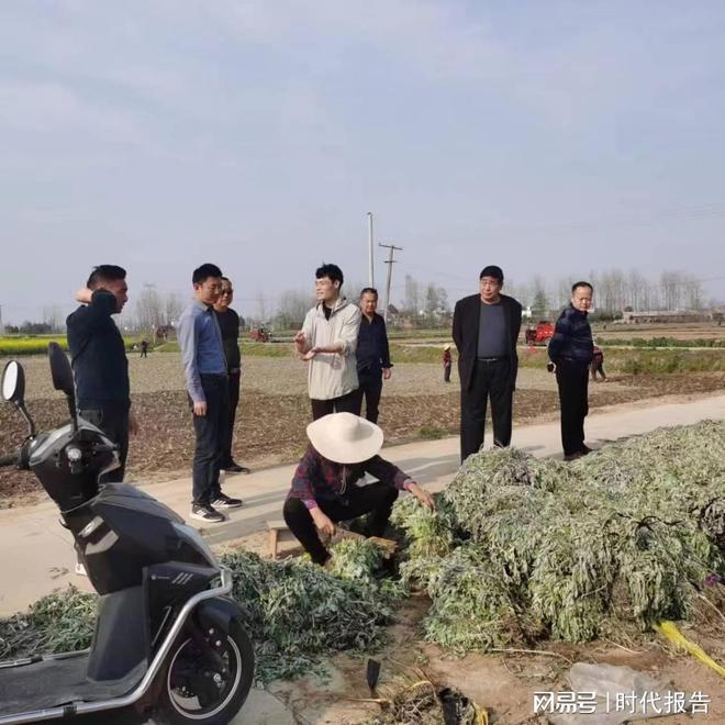 种植艾草致富广告_致富种植艾草广告图片_致富种植艾草广告视频