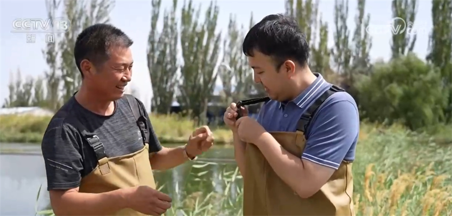 淡水虾养殖视频教程_淡水车虾养殖技术_淡水养虾视频