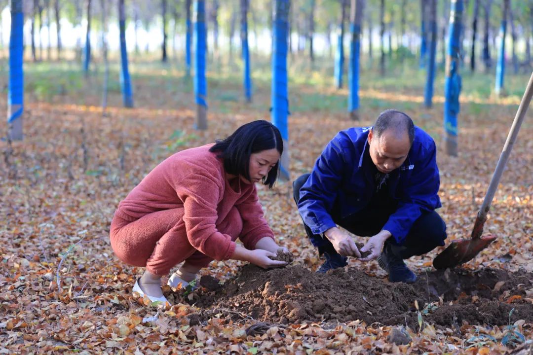 洛阳室内养殖致富_洛阳农村养殖致富_洛阳养殖户