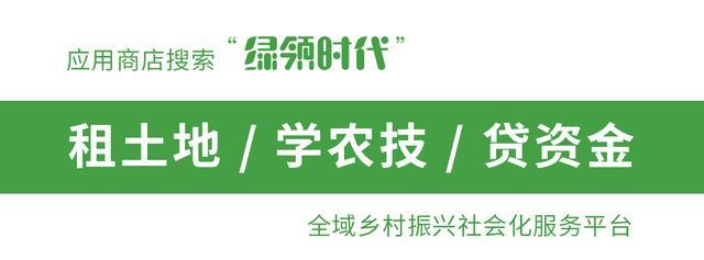 10月，新季红小豆开涨！预计价格可达4.0-4.1元/斤