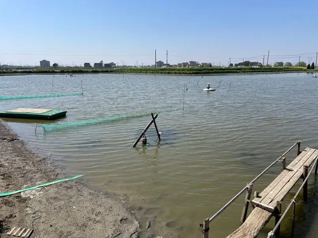 室内青虾养殖技术_青虾养殖技术视频_养青虾新技术