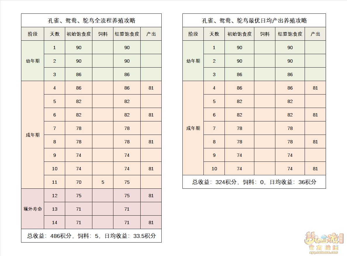 养殖金钱龟技术要点_金钱龟的养殖技术_养殖金钱龟技术要求