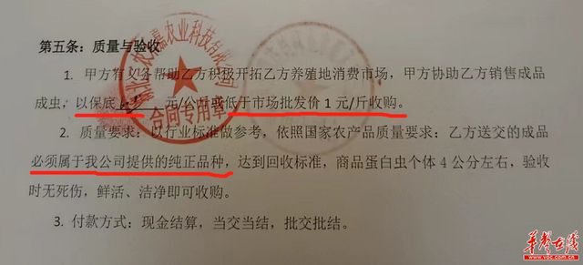 致富经养虫子鸡视频全集_养殖虫子赚钱吗_致富经虫子养殖