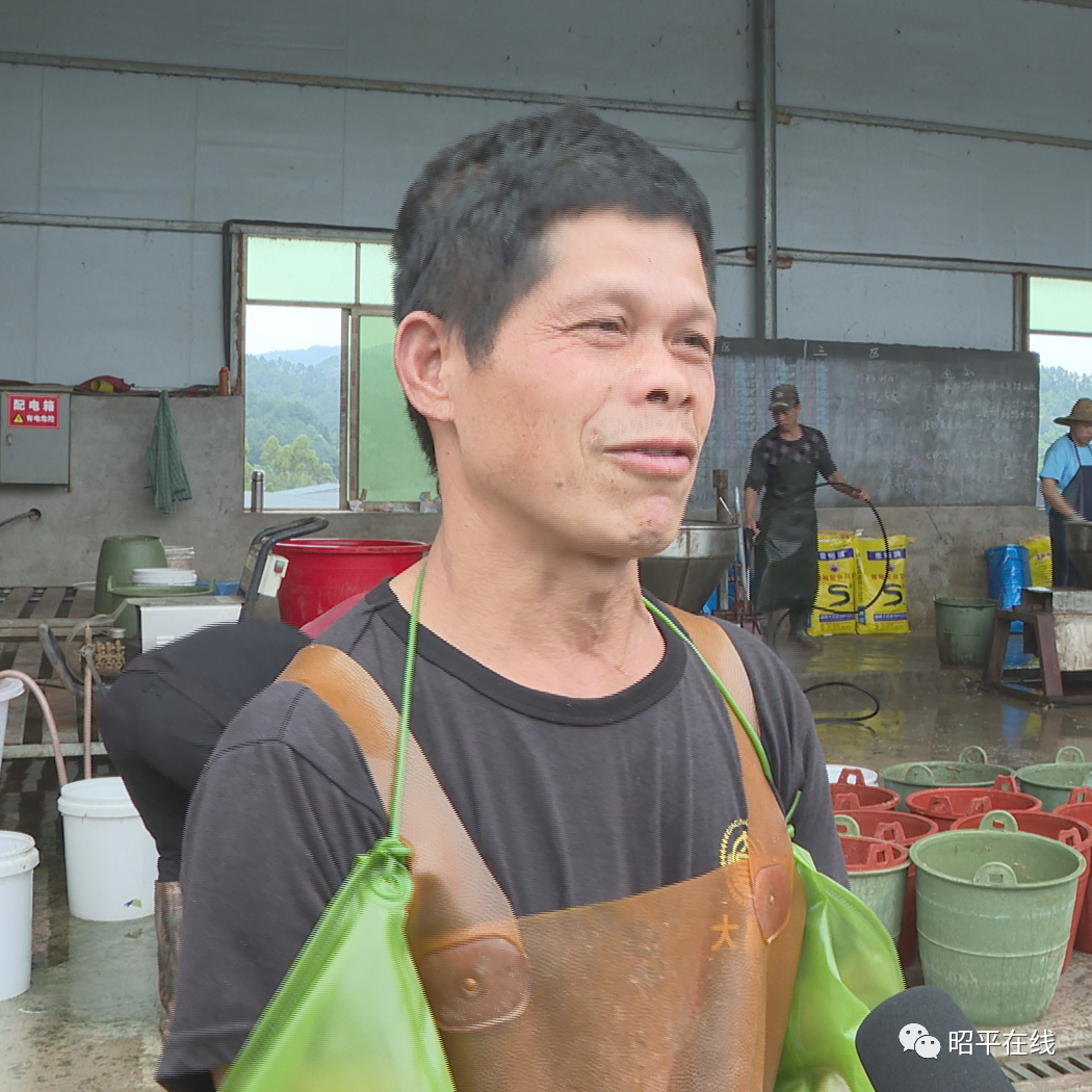 养殖鳗鱼利润怎么样_鳗鱼养殖致富_养殖鳗鱼赚钱吗