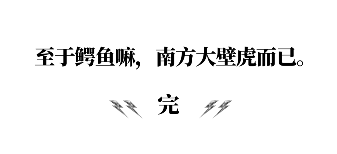 肉鸡养殖通风技术_鄂鱼养殖技术_养殖土鸡技术农业