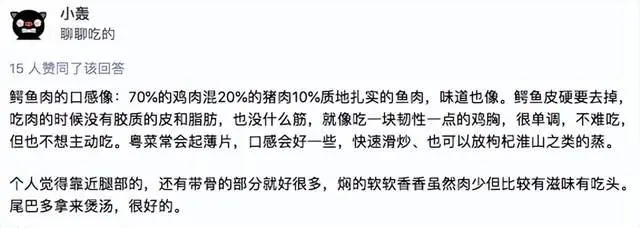 养殖土鸡技术农业_鄂鱼养殖技术_肉鸡养殖通风技术