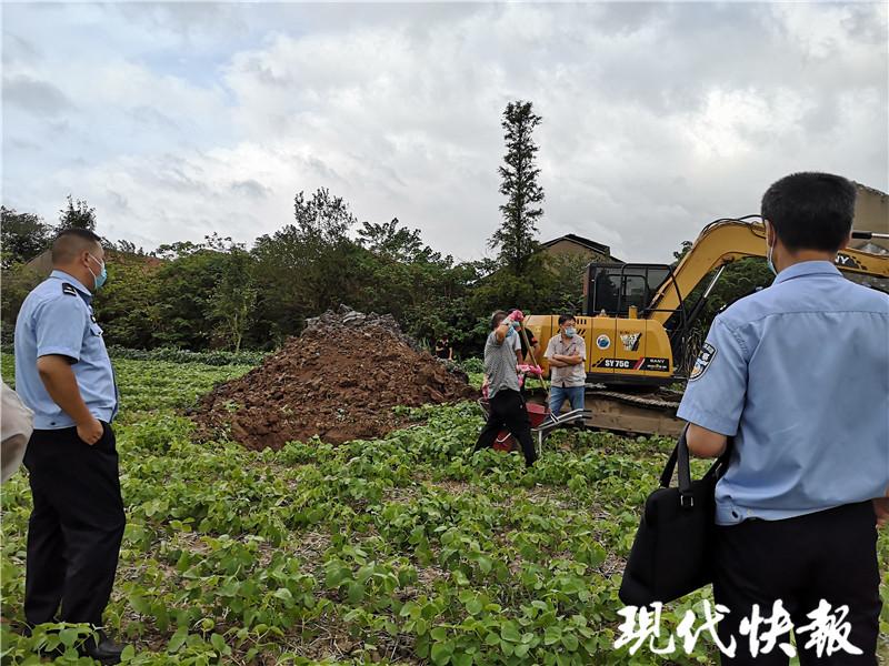 蛇场被查封，眼镜蛇在村里出没