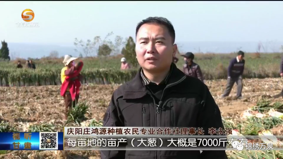 露地种植技术视频_视频种植露地技术有哪些_视频种植露地技术要点