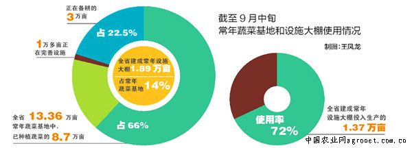 红薯价格最新行情