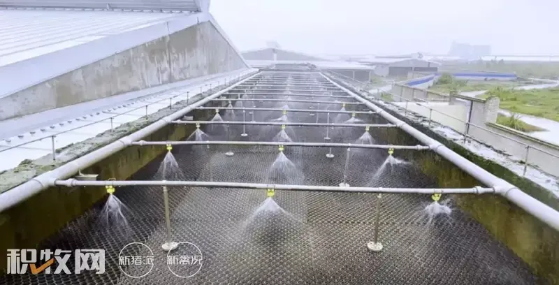 致富养殖生物项目有哪些_生物养殖致富项目_致富养殖好项目