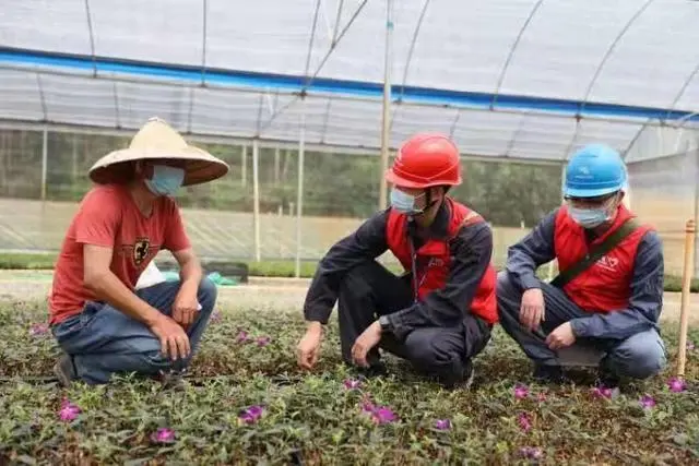 电力优质服务典型经验_典型电力优质经验服务工作总结_电力优质服务典型案例