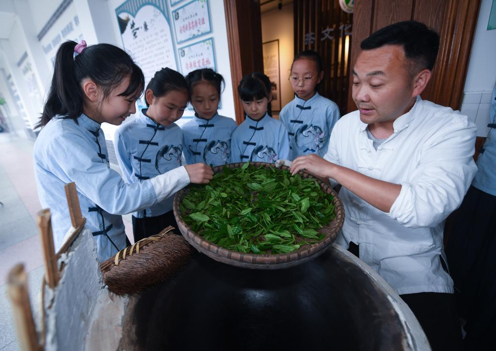 茶叶种植致富模式_致富茶叶种植模式是什么_致富茶叶种植模式有哪些