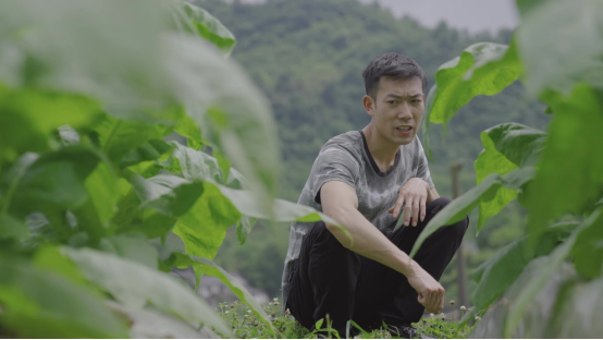 种植贝母前景怎么样_贝母种植致富故事_贝母种植技术视频播放