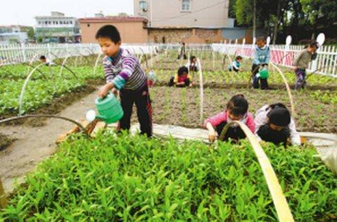 休闲农业种植致富_农村致富项目种植业_农村致富新项目种植业