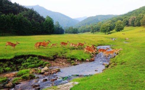 农村致富项目种植业_休闲农业种植致富_农村致富新项目种植业