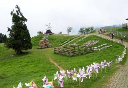 农村致富项目种植业_休闲农业种植致富_农村致富新项目种植业