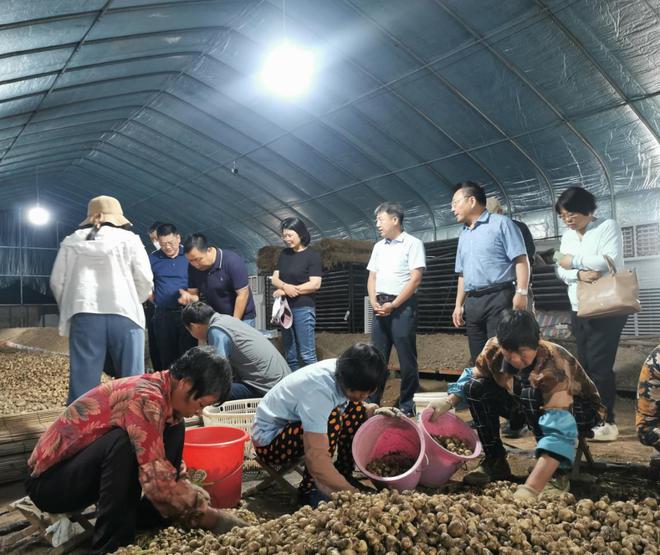 贝母种植技术视频播放_种贝母赚钱吗_贝母种植致富故事