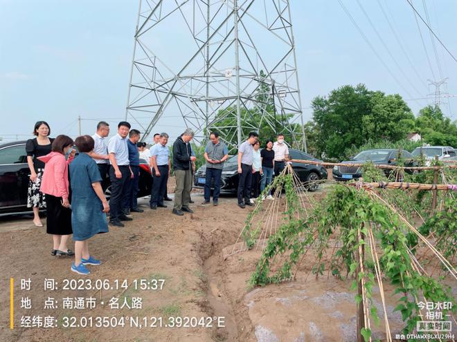 贝母种植技术视频播放_种贝母赚钱吗_贝母种植致富故事