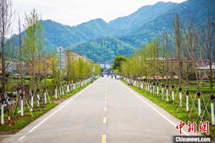 乡贤组团建最美农村路 促风景变“钱景”