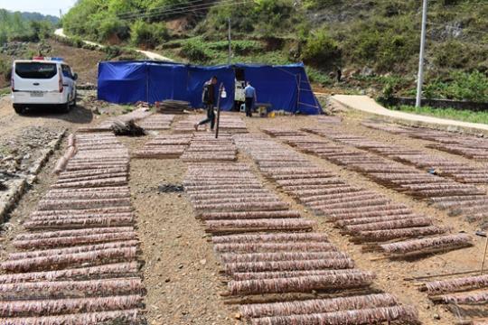 视频养殖地龙技术视频教程_地龙养殖技术视频播放_地龙的养殖技术视频